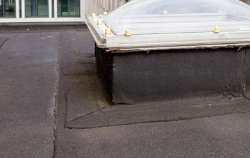 disadvantages of East Ness flat roofs